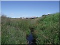 The North Calder Water, Wester Whin