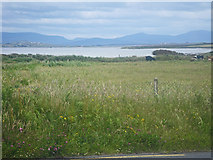 F6731 : Cows grazing with lough beyond by C Michael Hogan