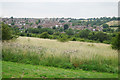 Grassland by Snodhurst Avenue