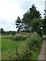 Mid summer at Quarr Abbey (30)