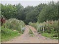 Bridleway off Westfield Sole Road