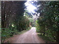 Path to Old House Farm