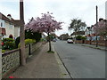 Blossom in Loxwood Avenue