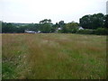 Grassy meadow near Tre-Dodridge