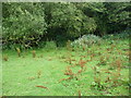 Stile into woodland in part of Hensol Forest