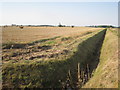 Roadside dyke and harvested field near Beltoft