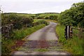 Cattle grid to Ninetrees Farm