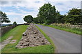 NY5764 : Hadrians Wall near Banks Turret by Ashley Dace