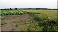 Arable land, Leuchars