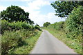 SJ8518 : Road from Bradley to Apeton by Mick Malpass