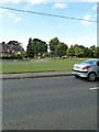 Looking across Ringwood Road to a green