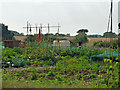 Allotments, Tatsfield