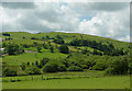 The slopes of  Pen Felin-wynt , Ceredigion