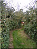 TM4159 : Footpaths to the B1121 Aldeburgh Road by Geographer
