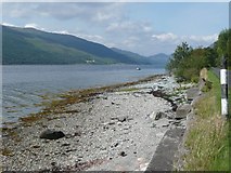 NS0973 : Looking up Loch Striven by Russel Wills