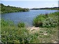 Lake at Littlebrook Nature Park