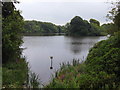 Wrightington Pond, West Lancashire