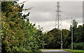 Pylon and power lines, Dunmurry (4)