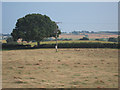 Fields off Hooe Road