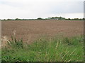 SE7517 : View towards Top Moors Farm by Jonathan Thacker
