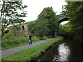 Copley Railway Viaduct