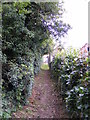 TM4160 : Footpath to Mill Road by Geographer
