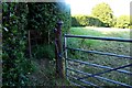 Kissing gate to the footpath