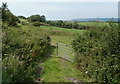 Field gate adjacent to Banwell Road, Hutton