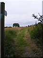 TM4160 : Footpath to Grove Road by Geographer