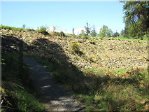 NX4465 : The dam wall, Bruntis Loch by Ann Cook