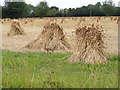 TM2766 : Stooks of Corn off the A1120 Saxtead Road by Geographer