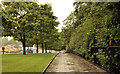 Footpath and trees, Stormont, Belfast (2)