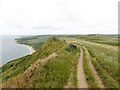 SY7681 : The Clifftop above Ringstead Bay by Tony Atkin