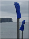 HY2428 : Birsay: blue rubber gloves by Chris Downer