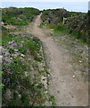 Bridleway on Amalveor Downs