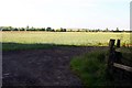 SP6706 : Field near Shabbington by Steve Daniels