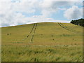 Looking south from the A96 near Forres