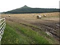 Field next to A173, looking towards Roseberry Topping