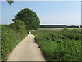 Bridleway to Foxbury Wood