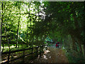 Footpath, Selborne