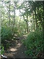 Footpath - Lea Farm Road