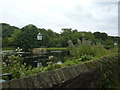 Strines Recreation Ground Fishing