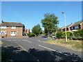 Looking from the footpath from West Street to Coach Hill towards Gainsborough Mews