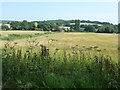 Footpath 670 east to New Barn