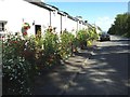 Cottages at Buchanan Smithy