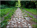 Cobblestones on Milton Lane