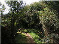 The South West Coast Path on a sunny day