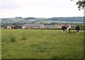 Swindon Grange Farm