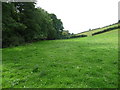 Footpath across fields beside Burry Pill