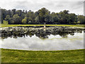 SE2868 : Studley Royal Water Garden, Moon  Pond by David Dixon